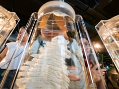 Weekend at the National Museum of Natural History 