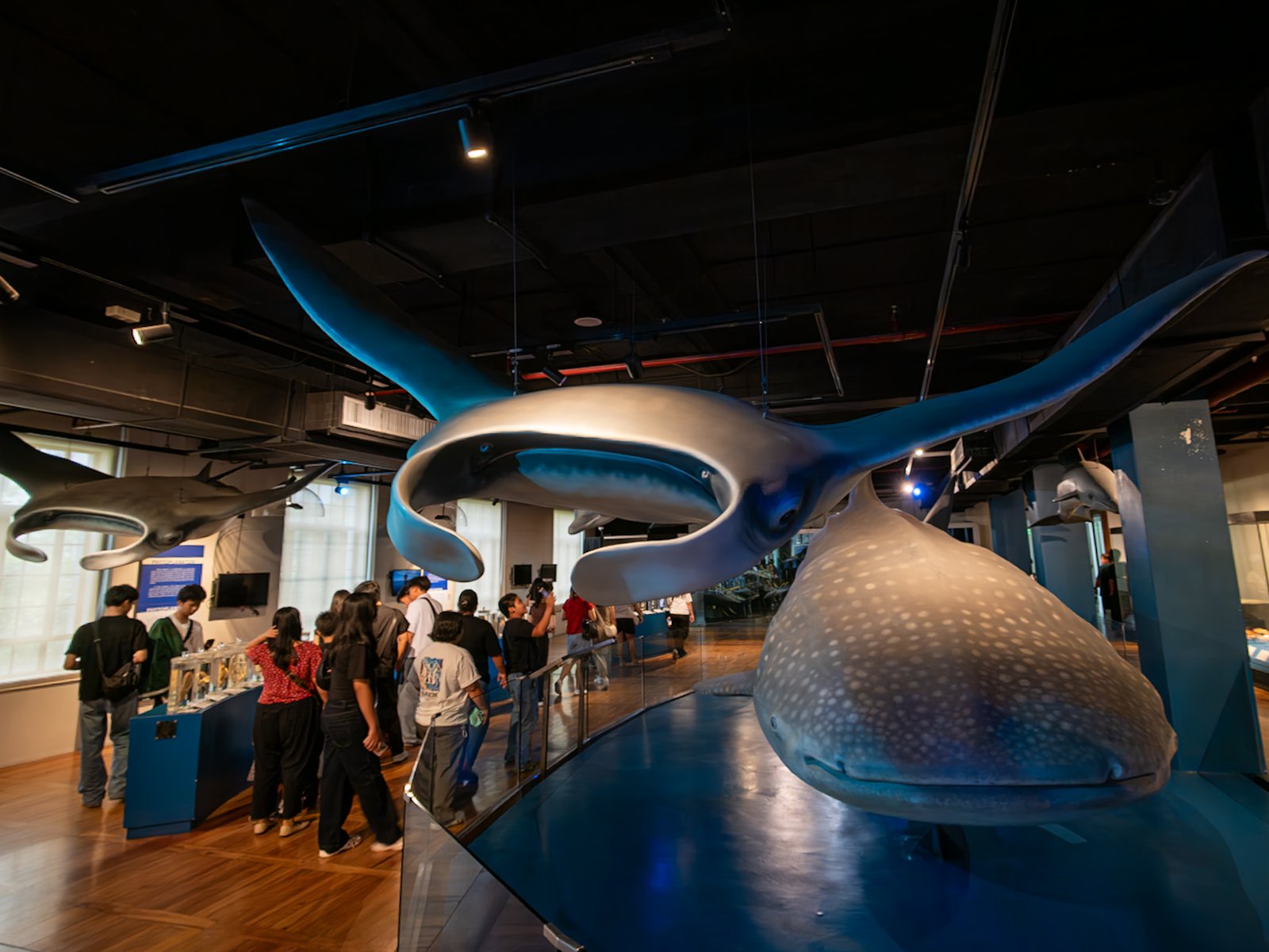 Visitors explore the National Museum of Natural History in Manila on 16 May 2026, ahead of International Museum Day. In commemoration of the global event, the National Museum will be hosting a series of special activities for the public.
