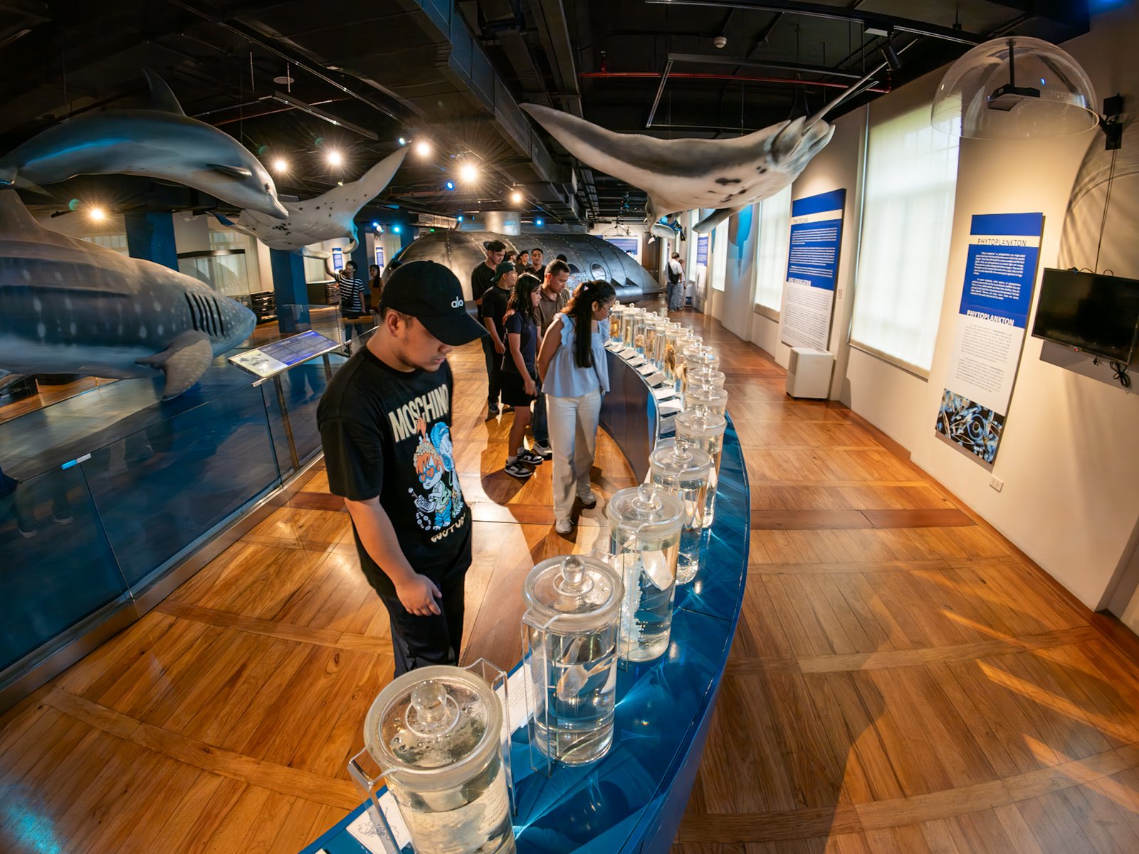 Visitors explore the National Museum of Natural History in Manila on 16 May 2026, ahead of International Museum Day. In commemoration of the global event, the National Museum will be hosting a series of special activities for the public.