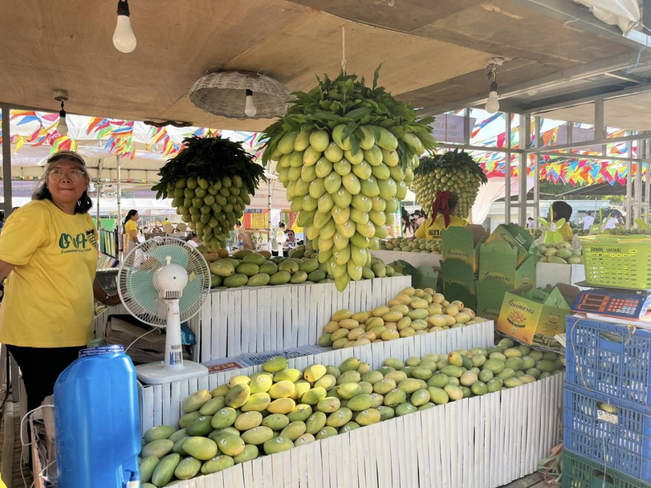Guimaras readies 18 tons for Mango Festival