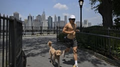 SCOOP bill tackles dog poops