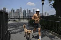 SCOOP bill tackles dog poops