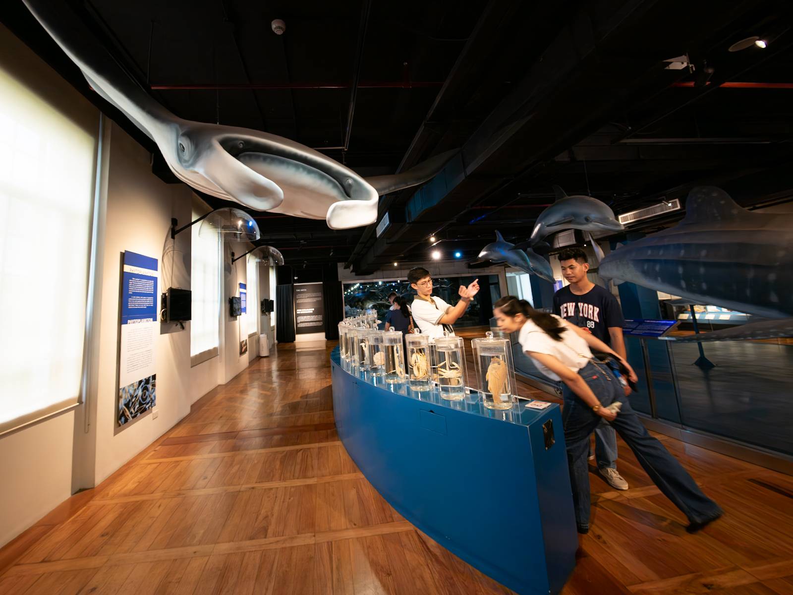 Visitors explore the National Museum of Natural History in Manila on 16 May 2026, ahead of International Museum Day. In commemoration of the global event, the National Museum will be hosting a series of special activities for the public.