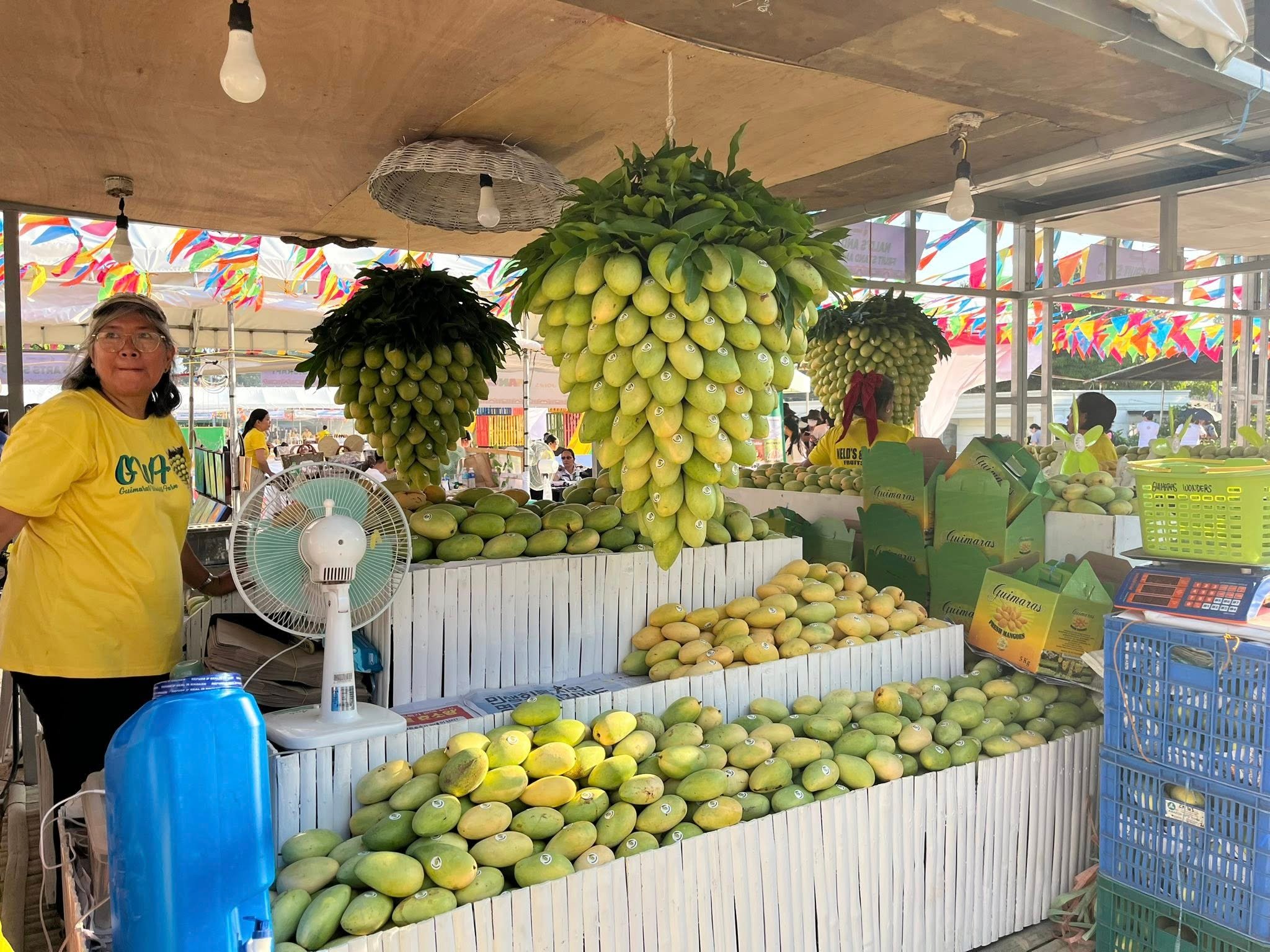 Guimaras prepares 18 metric tons of mangoes for festival’s ‘eat-all-you-can’ highlight