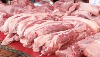 Entry of spanish pork resume after ASF review