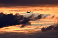 Qantas flight diverted after man bites flight attendant