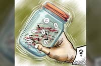 Who shakes the jar?