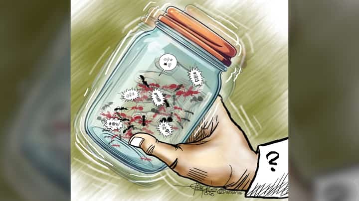 Who shakes the jar?