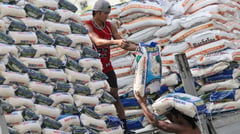 Imee seeks review on DA-attached firm amid massive rice imports