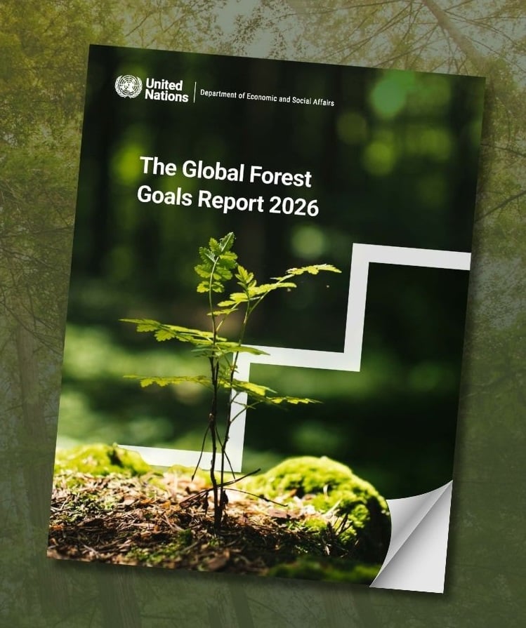 Global Forest Goals’ progress lags