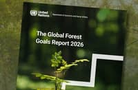 SEVEN of 26 targets are broadly met, 17 are partially achieved, and two are off track in the UN Global Forest Goals Report 2026.