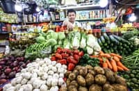 Rice eases as fish, vegetables climb