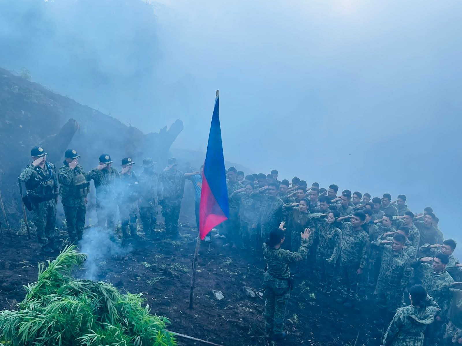 Cordillera police destroy more than P200 M worth of weeds