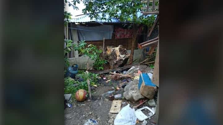 Rolling boulder kills mother, injures two young sons