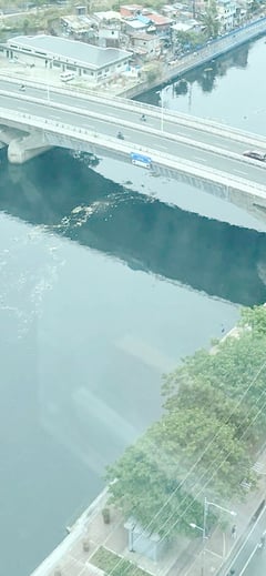 Massive garbage buildup derails Pasig River Ferry service