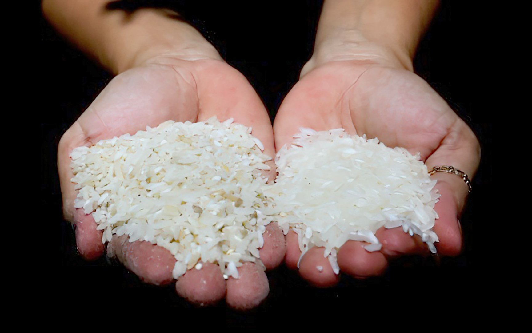 Rice price cap gains backing as food inflation cools