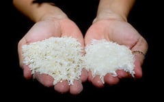 Rice price cap gains backing as food inflation cools
