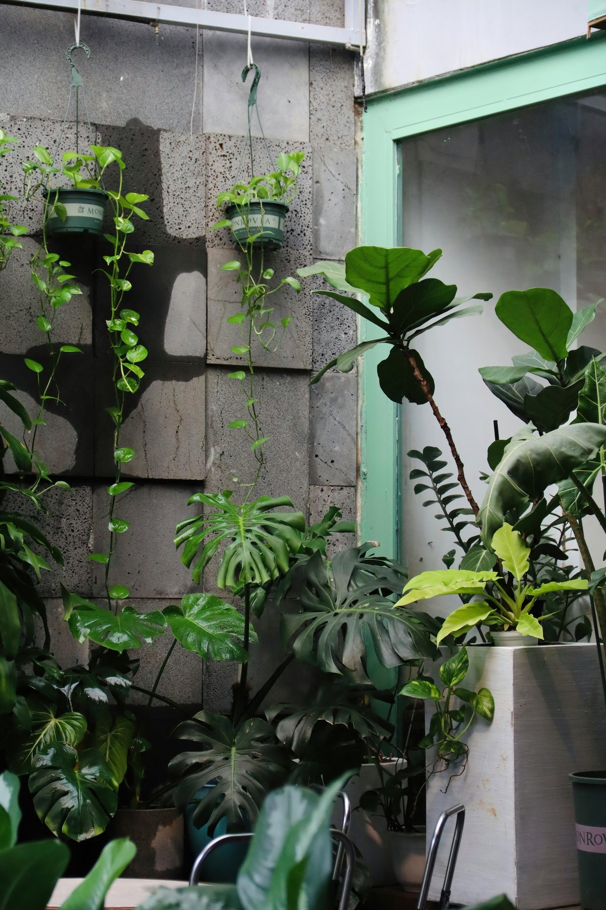 LUSH indoor greenery breathes life into any space, adding a refreshing sense of calm and comfort while bringing nature closer to home.