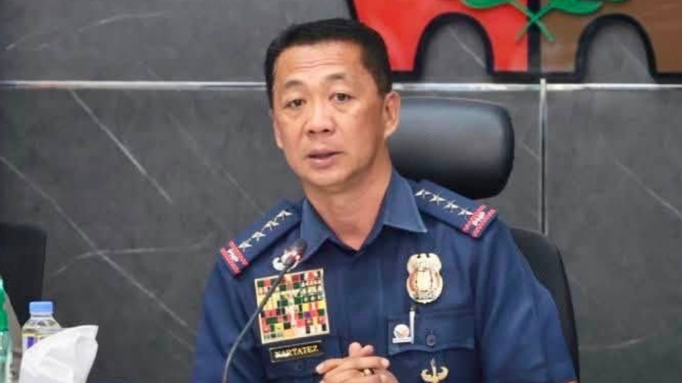 PNP mulls stricter gun ownership rules