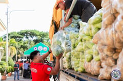 Vigan City launches project to help Benguet farmers, cut vegetable prices