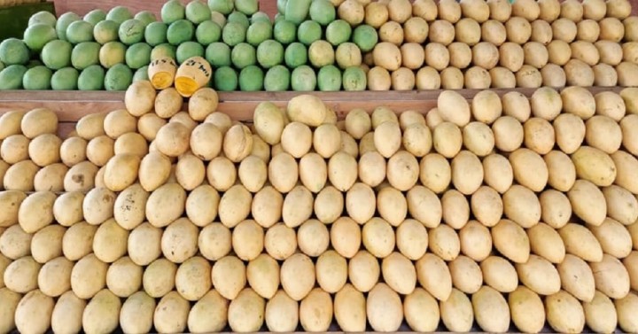 PHLPost, DTI deliver Guimaras mangoes