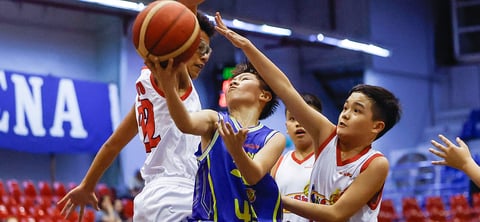 Batang TNT targets sweep