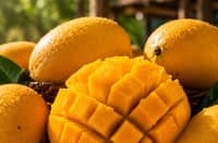 Order world-famous Guimaras mangoes during the Manggahan Festival 2026 with PHLPost’s new delivery service to Metro Manila and Metro Cebu. Enjoy premium 5-kg boxes delivered in 3–7 business days, support local farmers, and experience fresh, sweet mangoes straight from Guimaras to your doorstep.