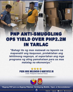 P2.2M illegal cigarettes seized in Tarlac