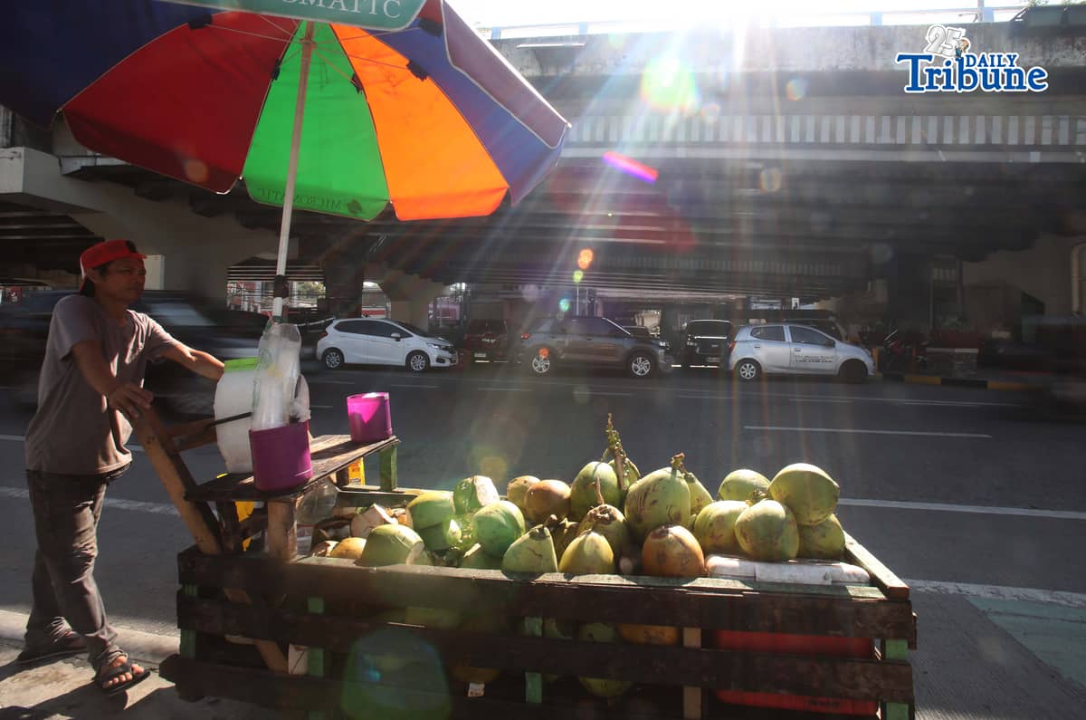 A vendor pushes his cart selling young coconuts, locally known as buko, along EDSA in Quezon City early in the morning as he earns money for his family’s daily expenses.
