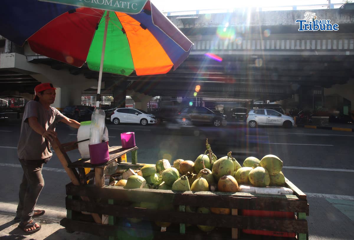 A vendor pushes his cart selling young coconuts, locally known as buko, along EDSA in Quezon City early in the morning as he earns money for his family’s daily expenses.