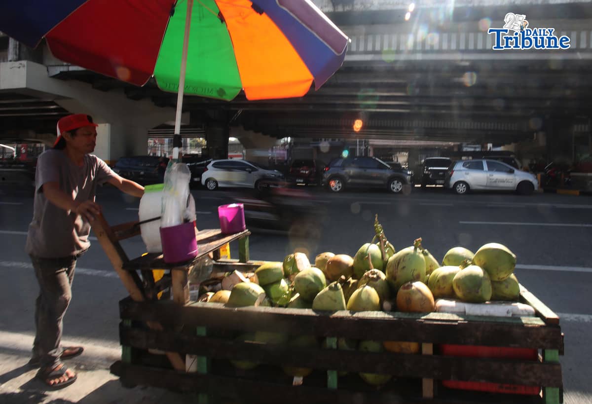 A vendor pushes his cart selling young coconuts, locally known as buko, along EDSA in Quezon City early in the morning as he earns money for his family’s daily expenses.