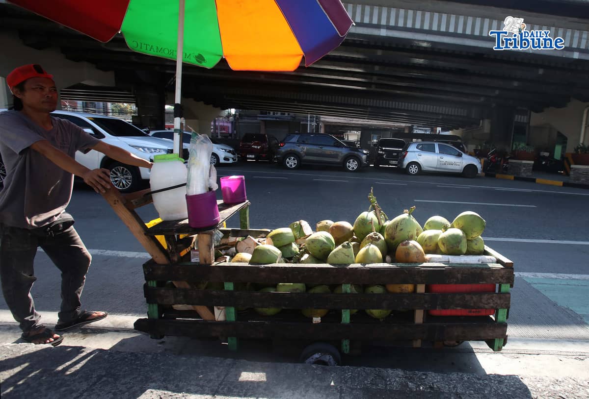 A vendor pushes his cart selling young coconuts, locally known as buko, along EDSA in Quezon City early in the morning as he earns money for his family’s daily expenses.