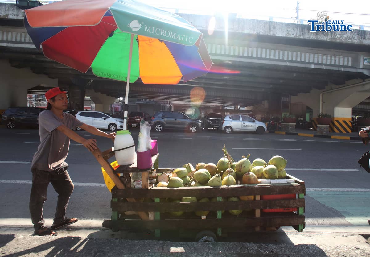 A vendor pushes his cart selling young coconuts, locally known as buko, along EDSA in Quezon City early in the morning as he earns money for his family’s daily expenses.