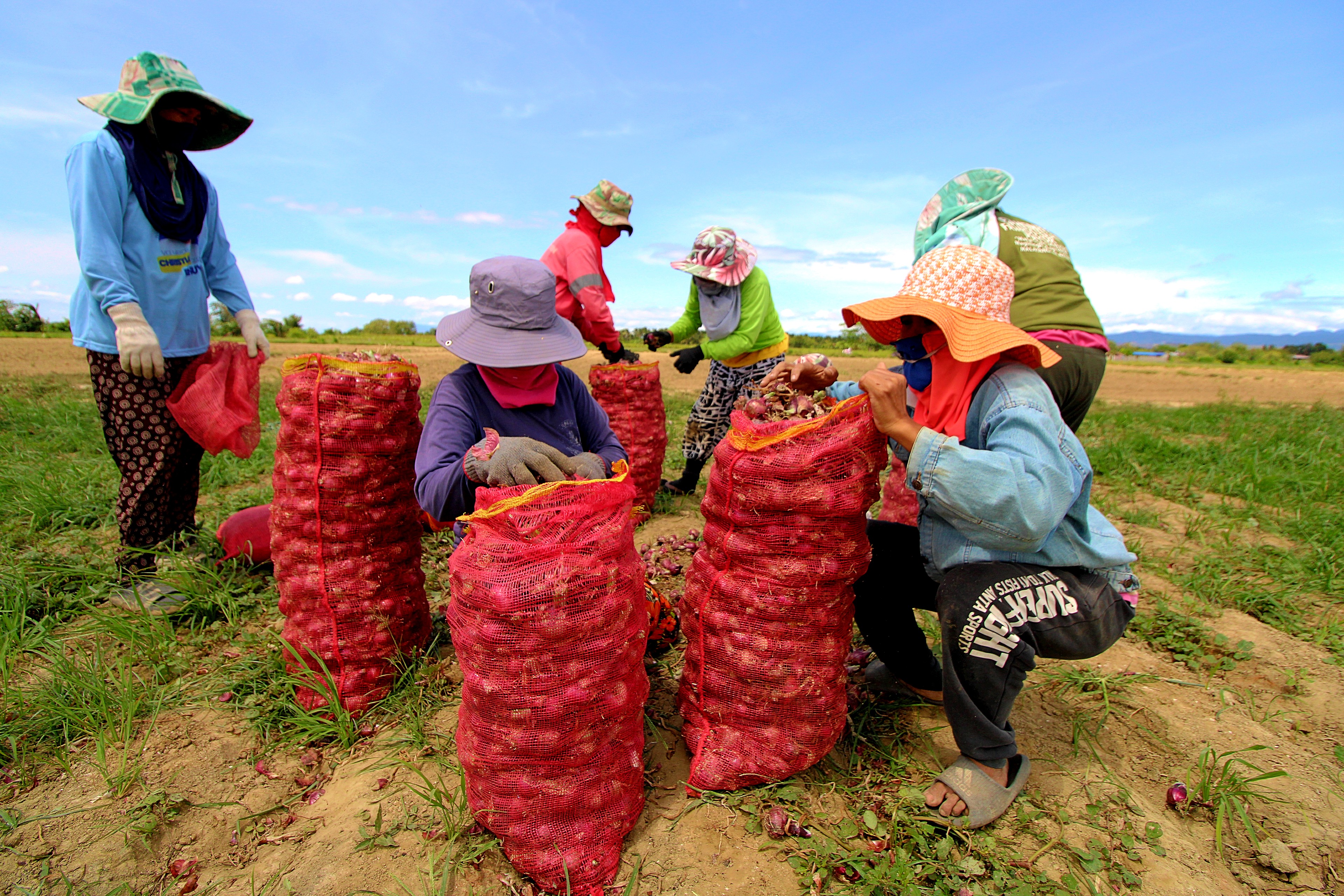 DA holds successful Onion Stakeholders Meeting in Pampanga