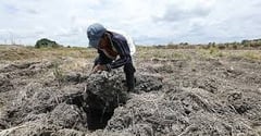 UN warns of possible El Niño comeback