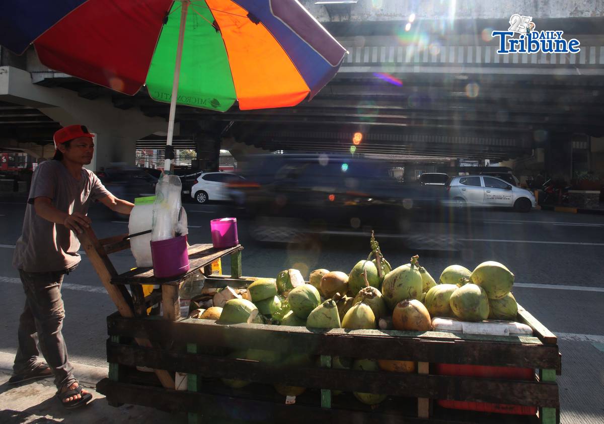 A vendor pushes his cart selling young coconuts, locally known as buko, along EDSA in Quezon City early in the morning as he earns money for his family’s daily expenses.