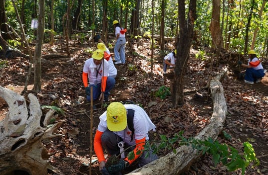 Razon foundations unite for sustainability drive

