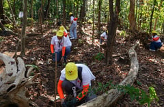 Razon foundations unite for sustainability drive
