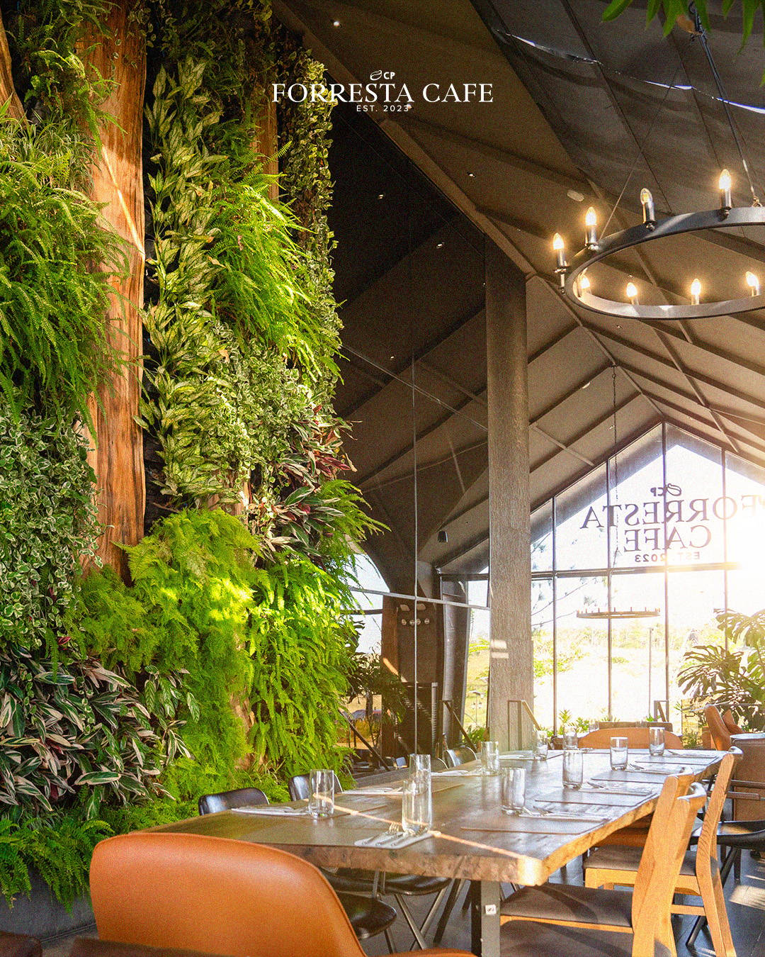 AN open space made for long conversations, quiet work and unhurried afternoons.