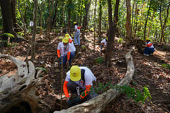 Razon foundations unite for sustainability drive