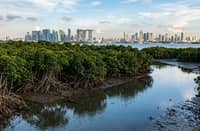 BY 2030, Asia will account for around 75 percent of the global climate
adaptation and resiliency financing gap, and Asian companies are
projected to bear around $336 billion in annual climate costs, according
to the CIIP report.