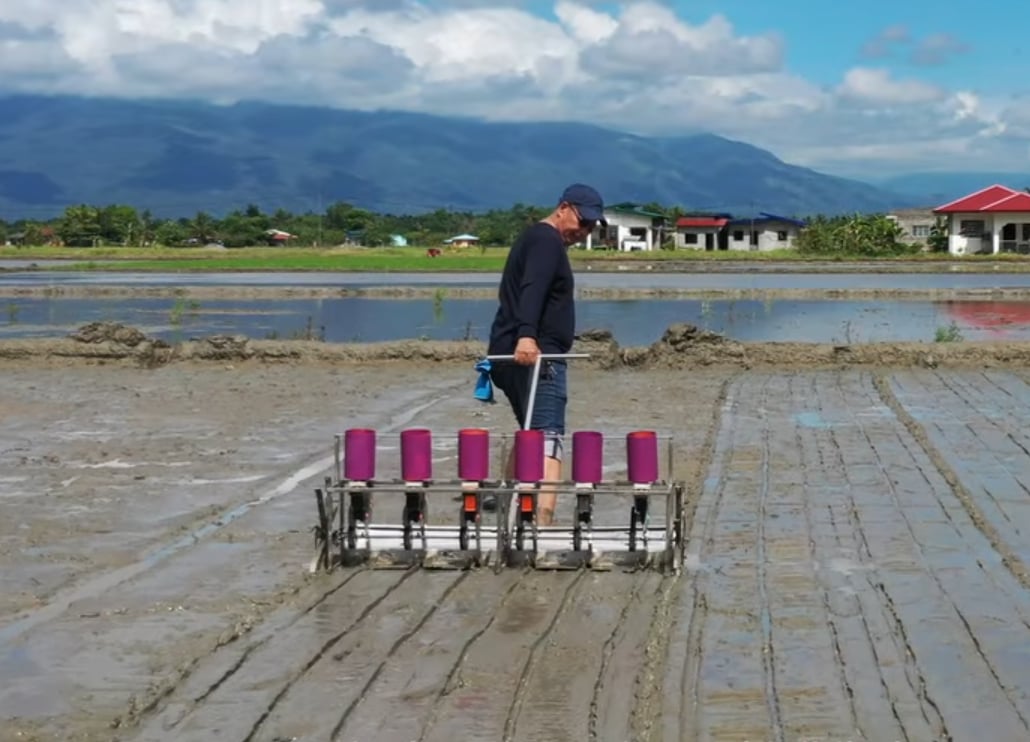 Rice revolution: Mom inspires son’s farming innovation