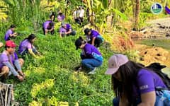CCC pilot tests gender action checklist