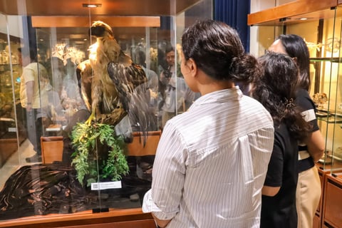 UP Tacloban opens natural history museum, herbarium