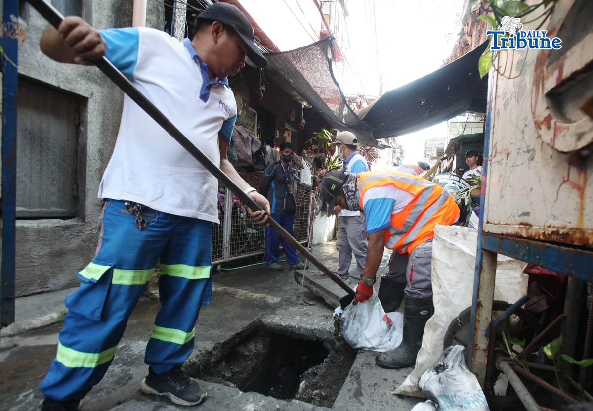 ANALY LABOR