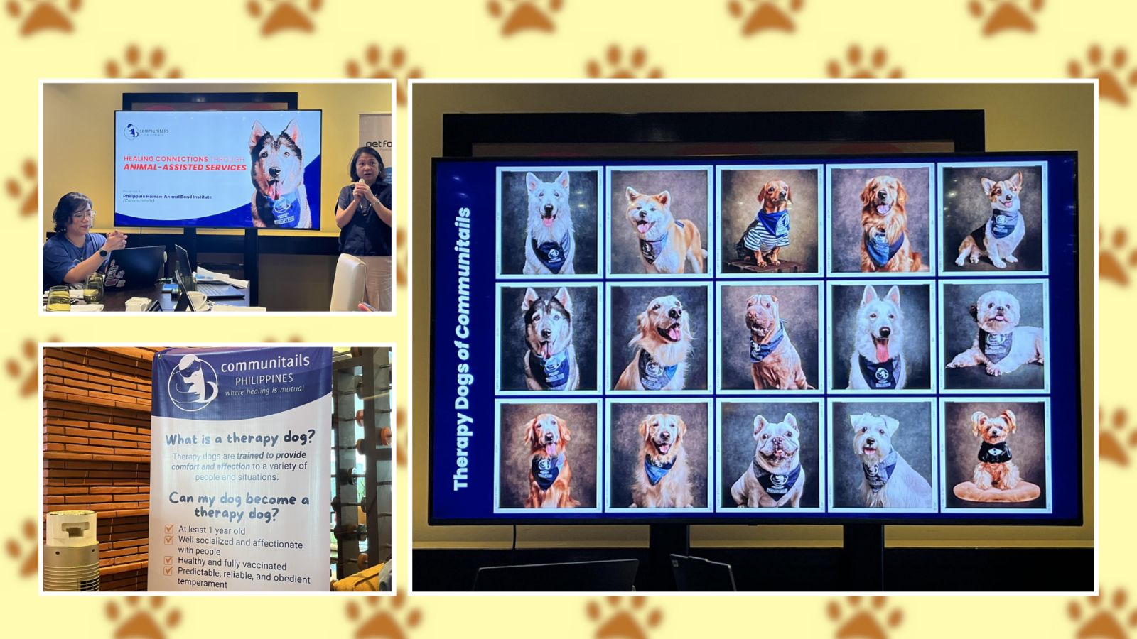 Communitails Inc. strengthens push to professionalize Animal-Assisted Services in Philippines
