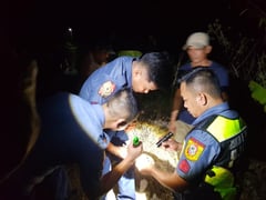 Balikbayan killed in shooting incident in Ilocos Norte
