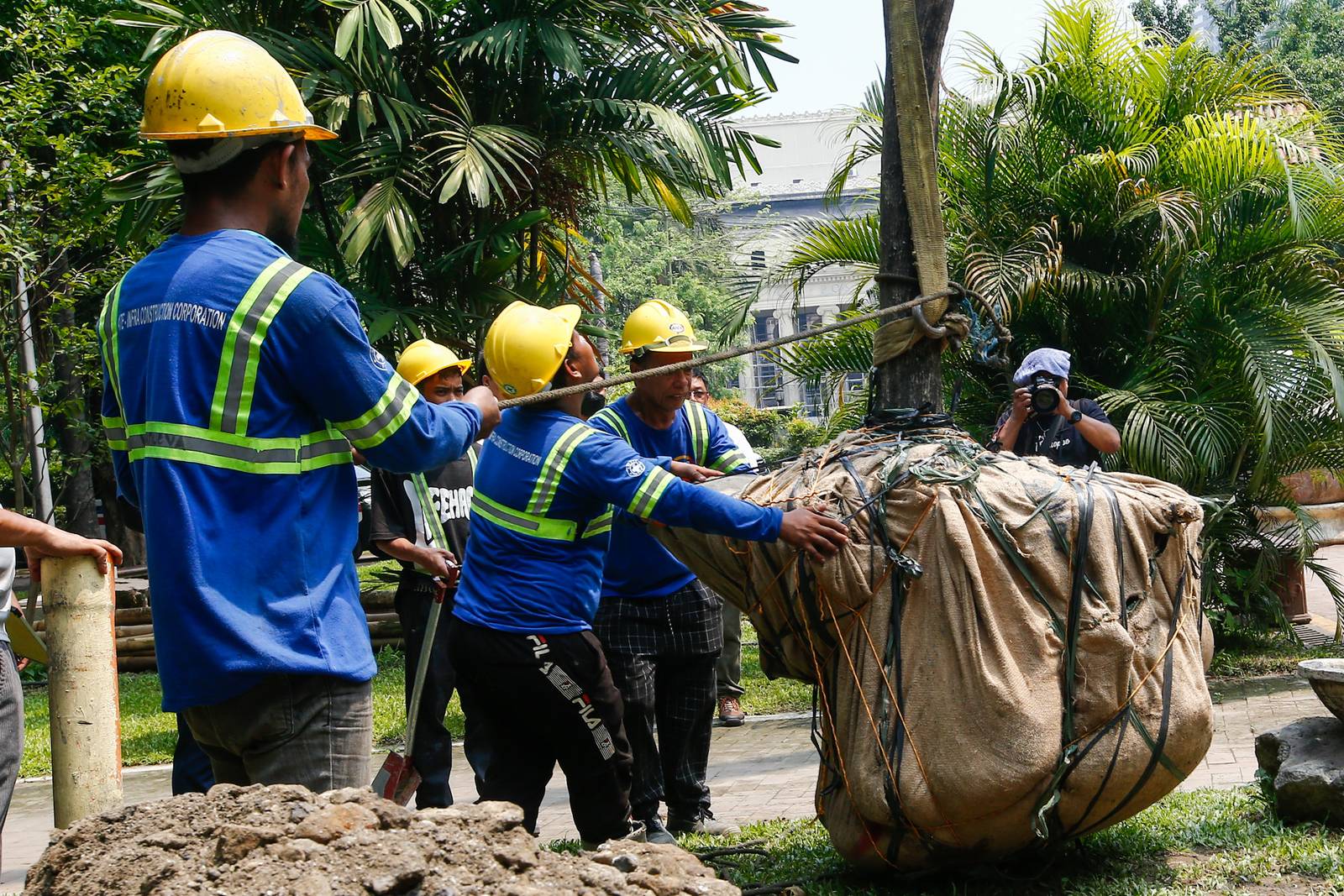 Workers from the Department of Environment and Natural Resources (DENR) transplant two Narra trees at the Hidden Garden in Manila on 28 May 2026. The trees were earthballed from Quirino Avenue to make way for a segment of San Miguel Corporation's 40.6-kilometer Southern Access Link Expressway (SALEx) project. DENR Secretary Juan Miguel Cuna ordered a suspension of the tree-cutting and earthballing activities following intense protests from environmental groups.