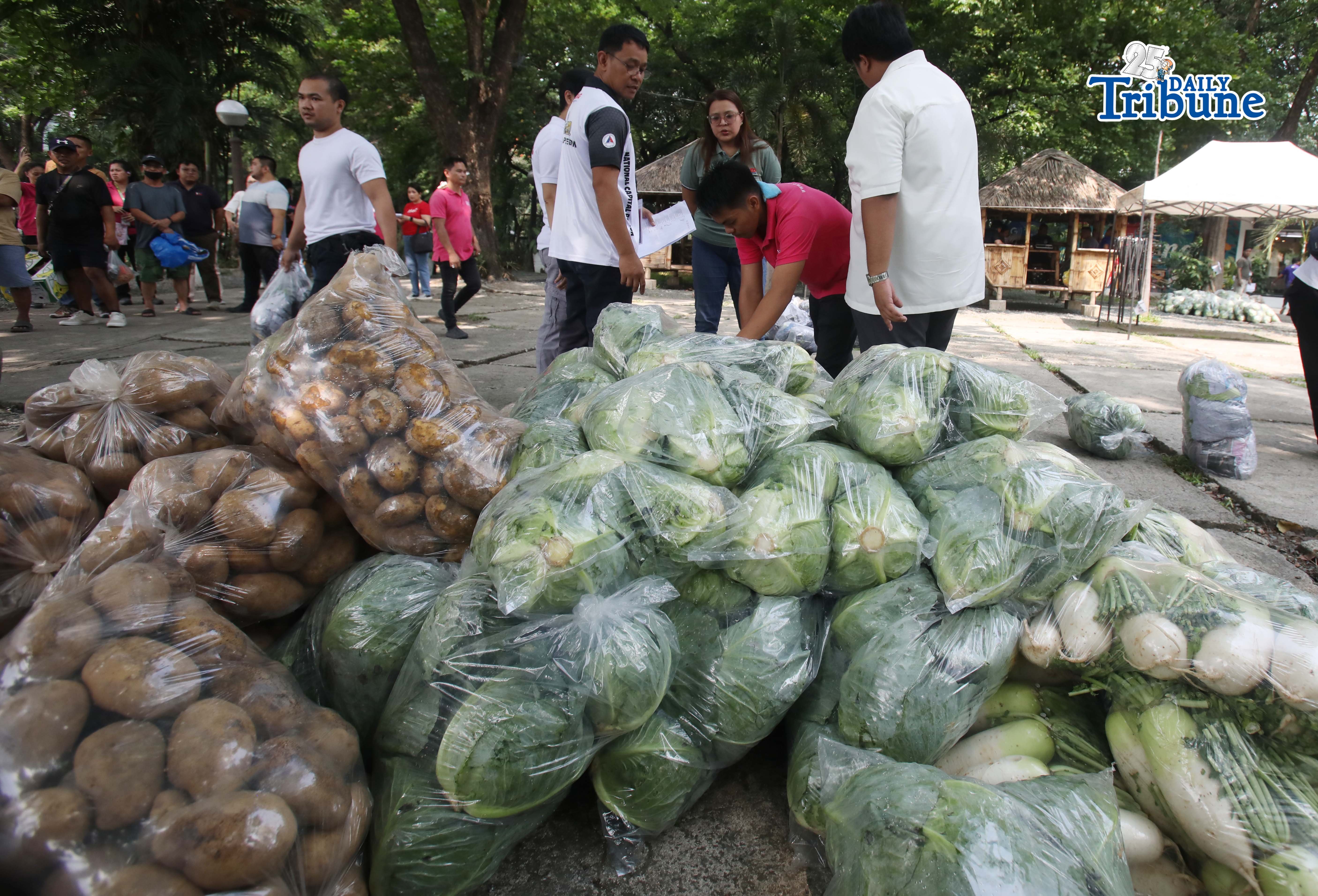 Vegetables fresh from Atok!