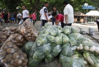 Vegetables fresh from Atok!